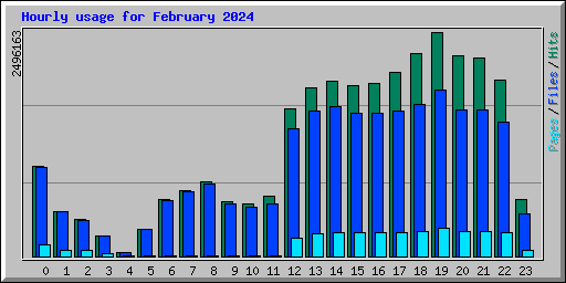 Hourly usage for February 2024