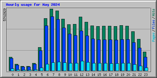 Hourly usage for May 2024