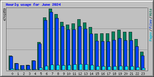 Hourly usage for June 2024